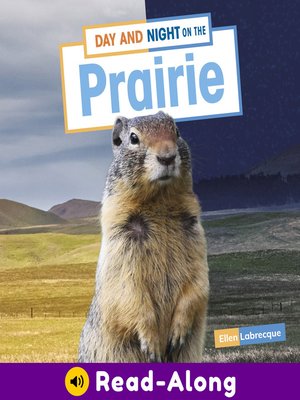 cover image of Day and Night on the Prairie